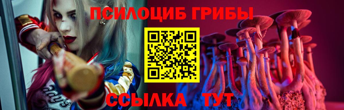Галлюциногенные грибы Psilocybine cubensis  Вход с VPN  Ахтубинск 